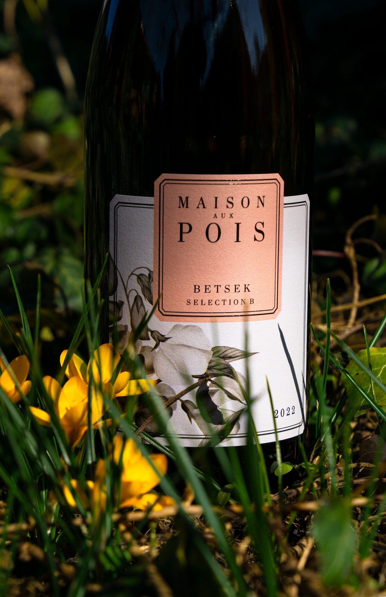 Maison aux Pois